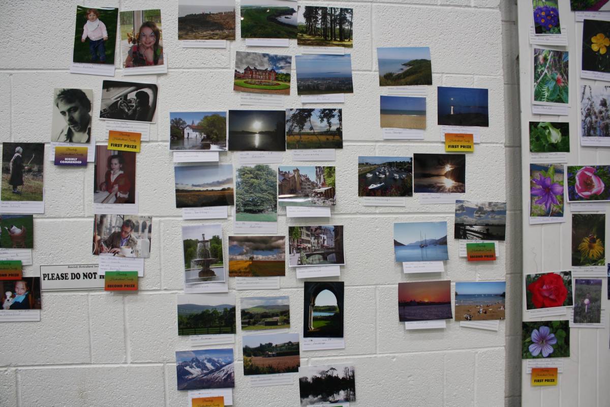 ../Images/Horticultural Show in Bunclody 2014--65.jpg